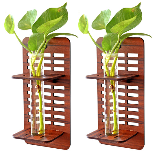 Wall Hanging Wooden Test Tube Planter Set of 2