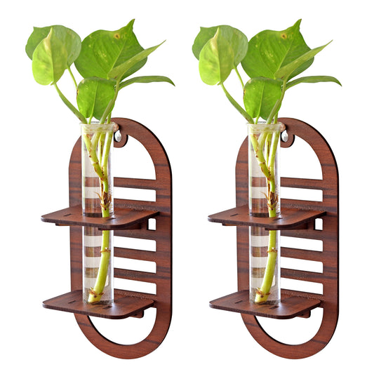 Wall Hanging Wooden Test Tube Planter Set of 2
