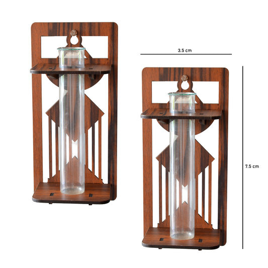 Wall Hanging Wooden Test Tube Planter Set of 2