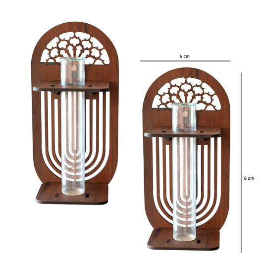 Wall Hanging Wooden Test Tube Planter Set of 2