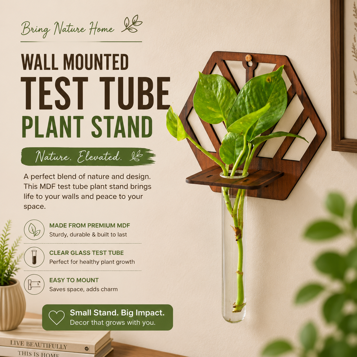 Wall Hanging Wooden Test Tube Planter Set of 2
