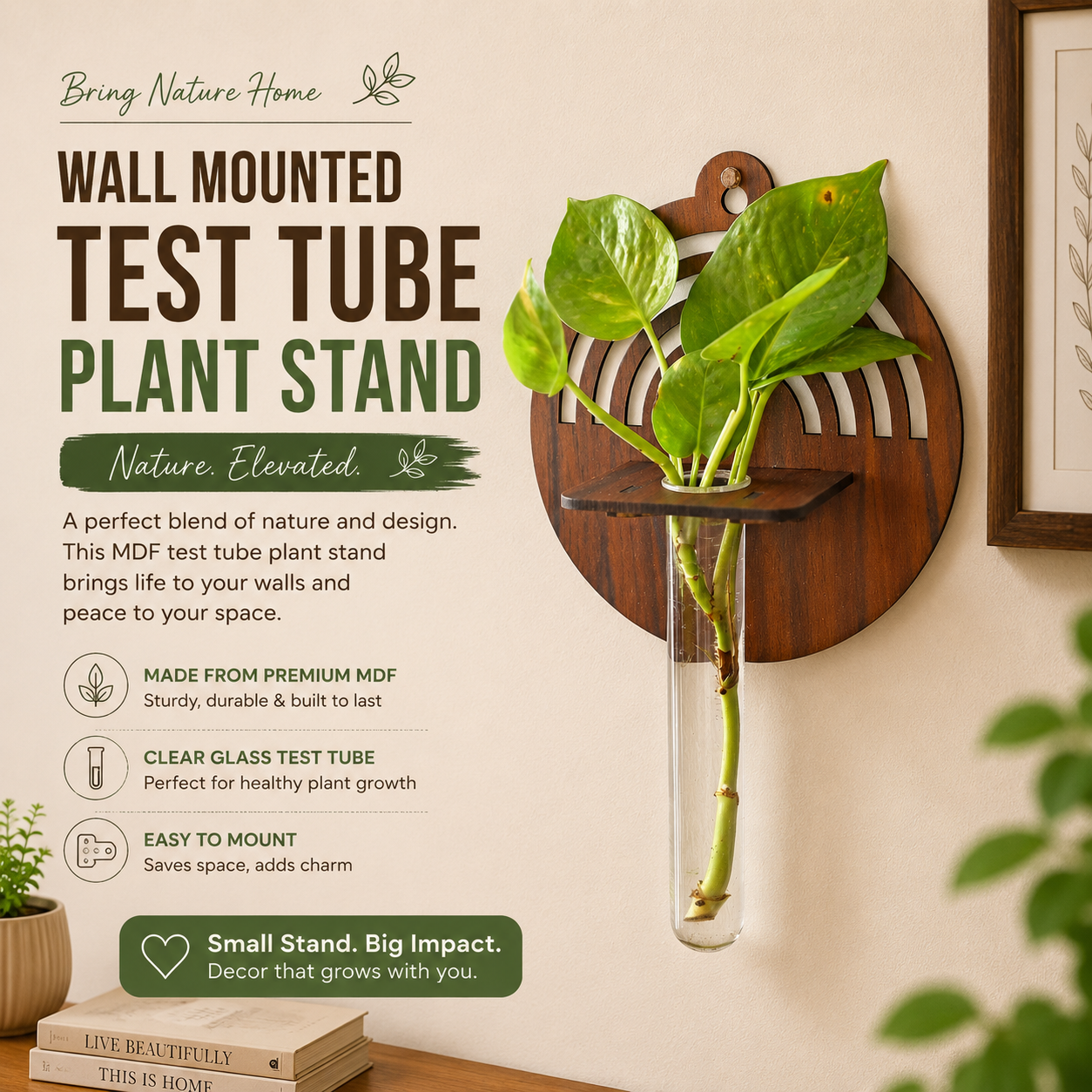 Wall Hanging Wooden Test Tube Planter set of 2