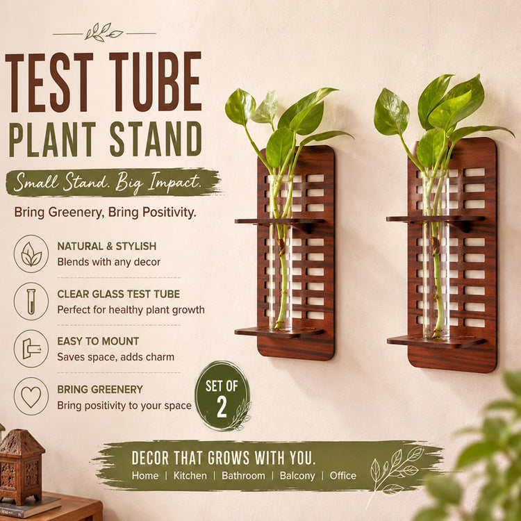 Wall Hanging Wooden Test Tube Planter