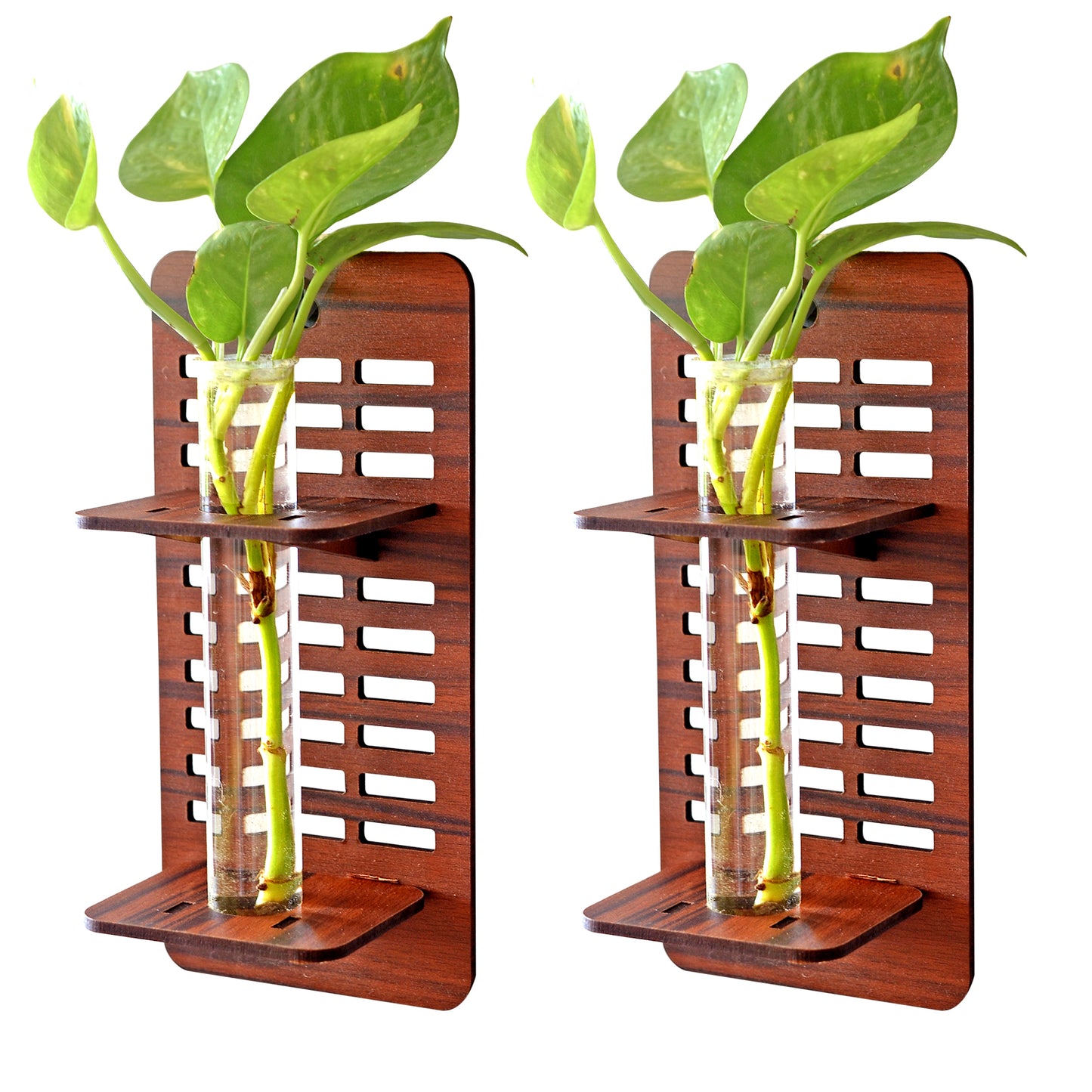 Wall Hanging Wooden Test Tube Planter Set of 2