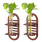 Wall Hanging Wooden Test Tube Planter Set of 2