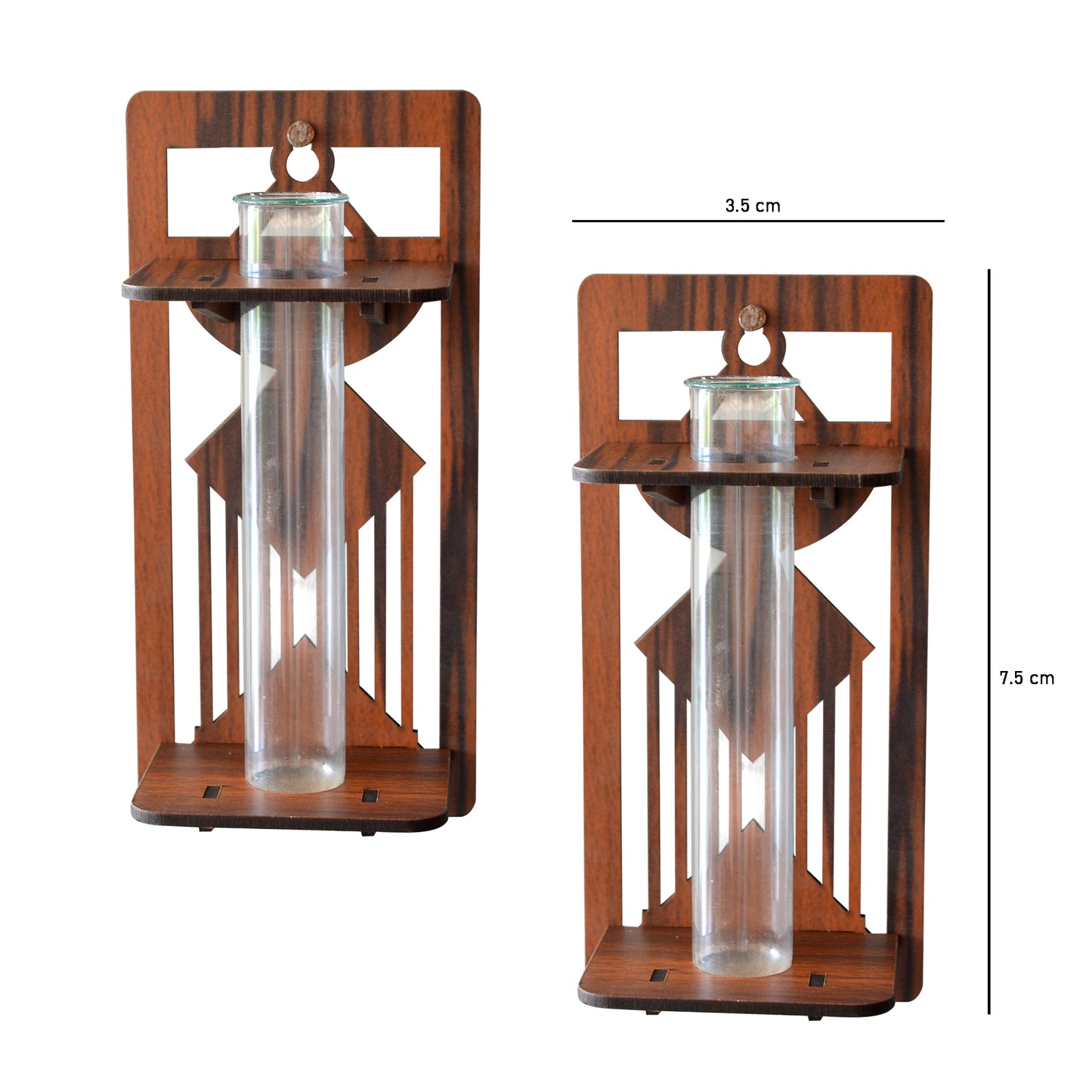Wall Hanging Wooden Test Tube Planter Set of 2
