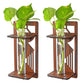 Wall Hanging Wooden Test Tube Planter Set of 2