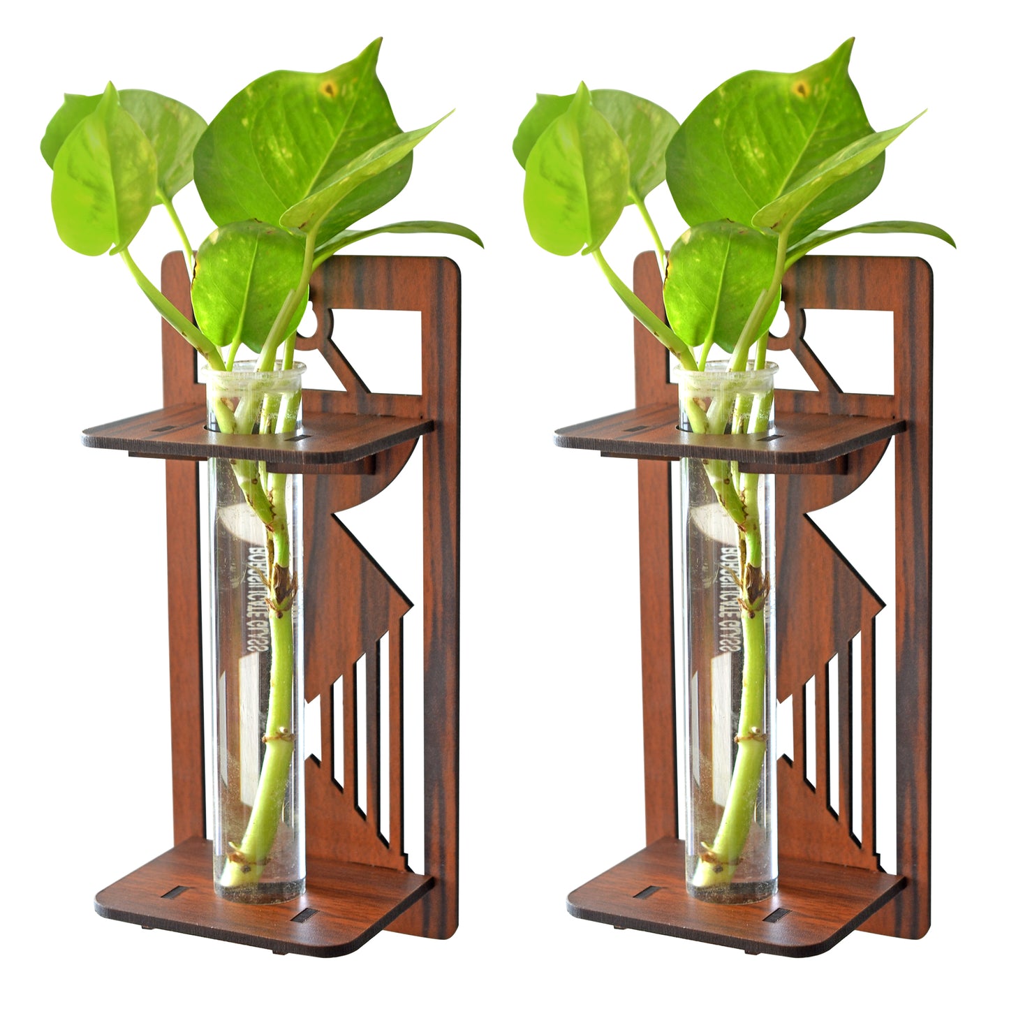Wall Hanging Wooden Test Tube Planter Set of 2