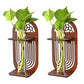 Wall Hanging Wooden Test Tube Planter Set of 2