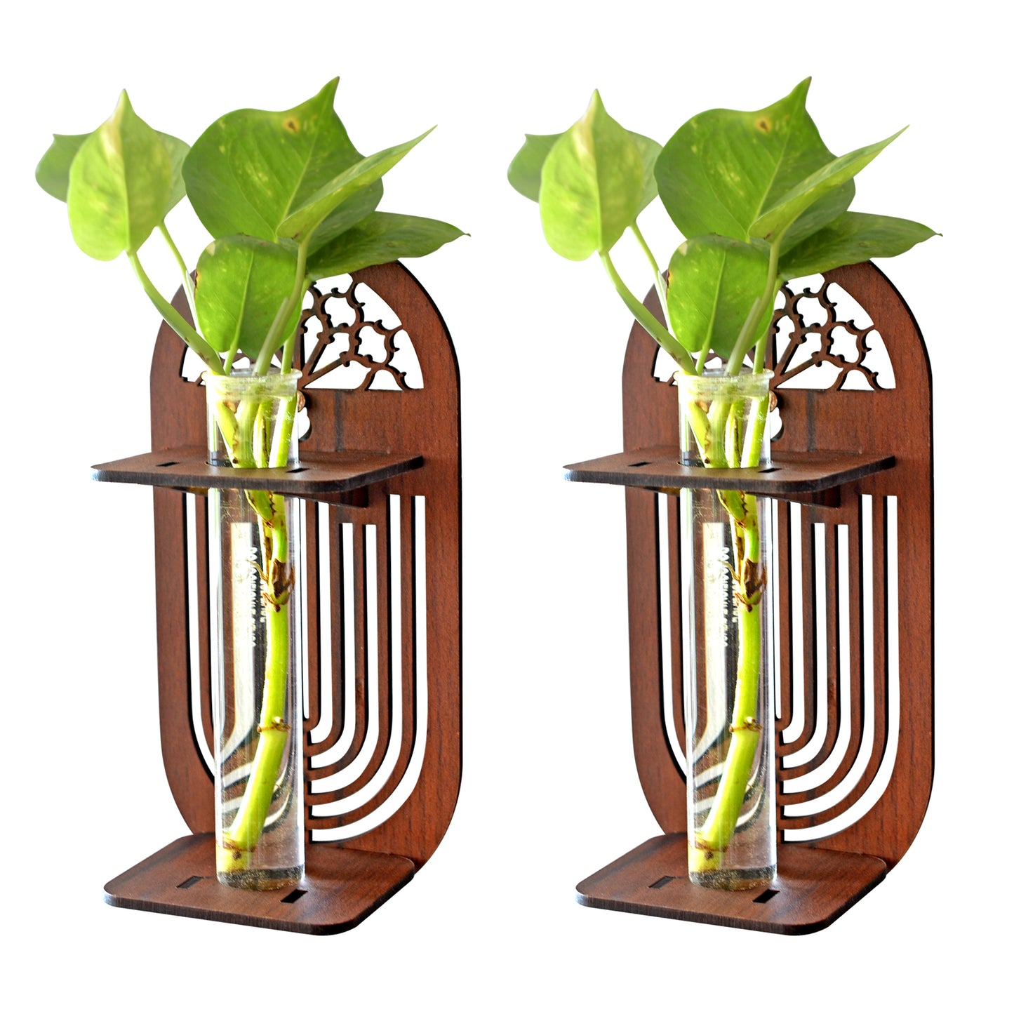 Wall Hanging Wooden Test Tube Planter Set of 2