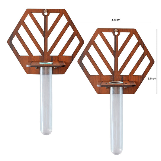 Wall Hanging Wooden Test Tube Planter Set of 2