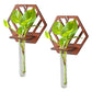 Wall Hanging Wooden Test Tube Planter Set of 2