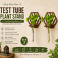 Wall Hanging Wooden Test Tube Planter Set of 2