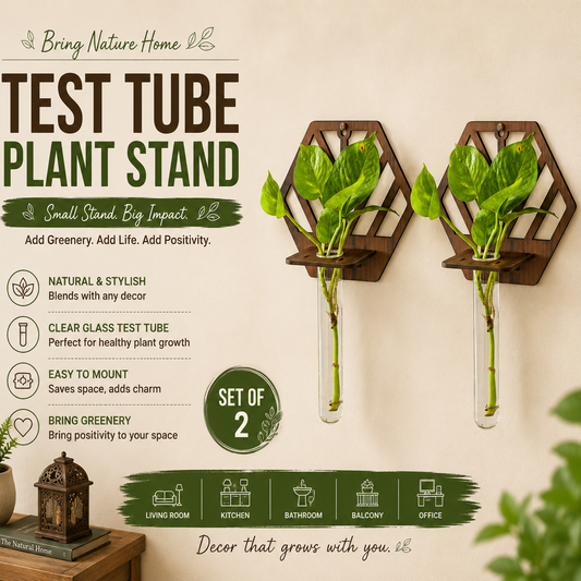 Wall Hanging Wooden Test Tube Planter Set of 2