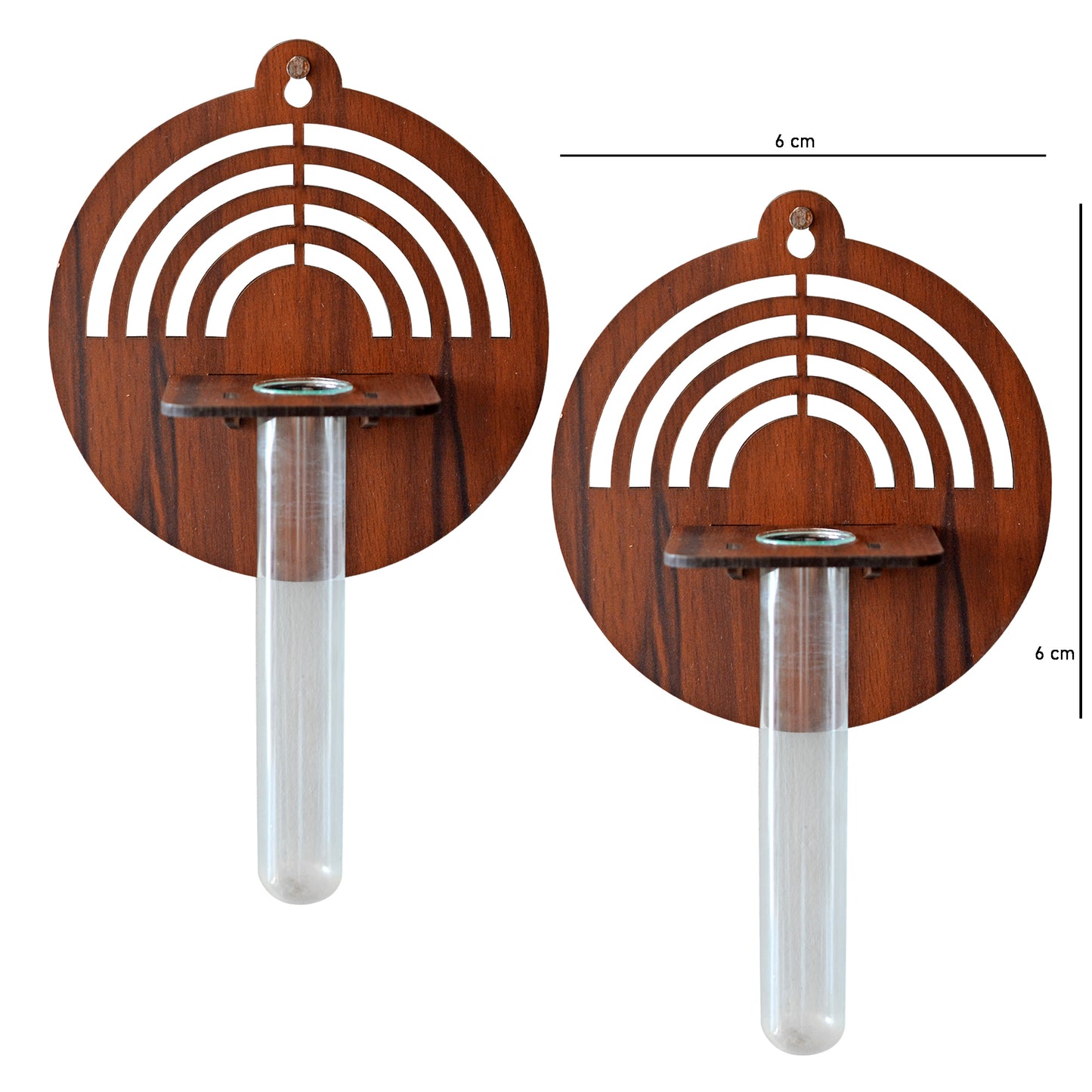 Wall Hanging Wooden Test Tube Planter set of 2