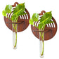 Wall Hanging Wooden Test Tube Planter set of 2
