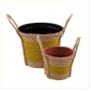 Plant Pot