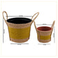Plant Pot