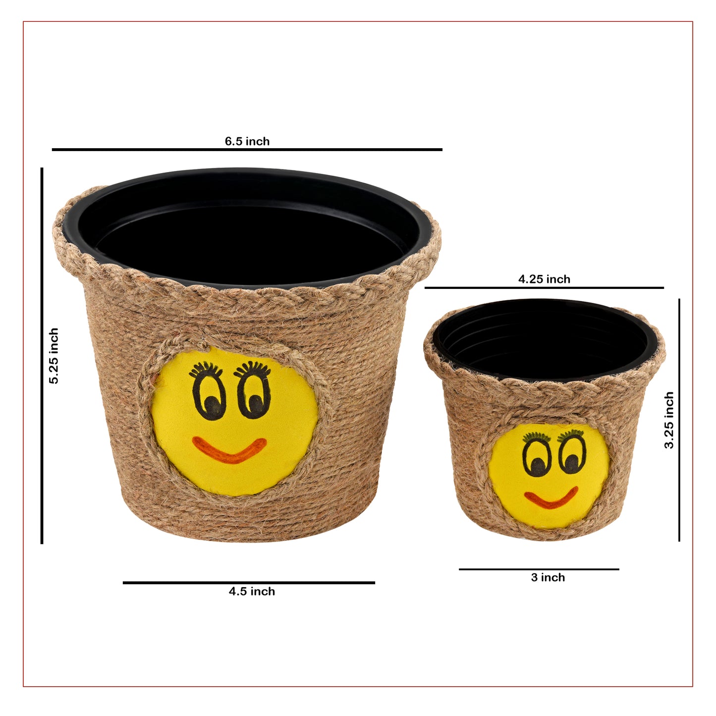 Plant Pot